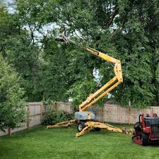 Leaf Removal in Park Falls, WI